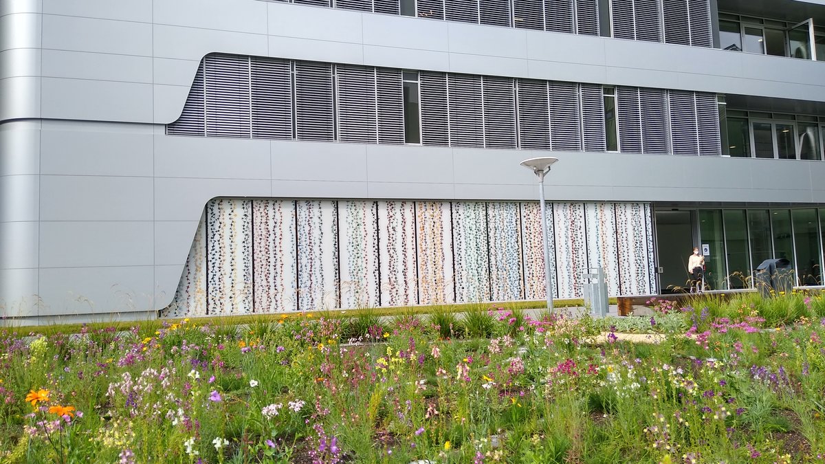 Eingang VCC mit Blumenwiese davor