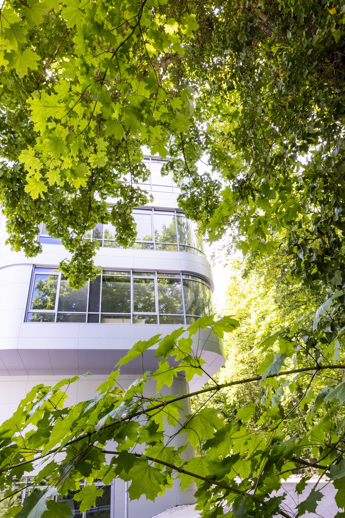 Building Centre for Visual Computing of Collectives (VCC) - glimpse through green trees.