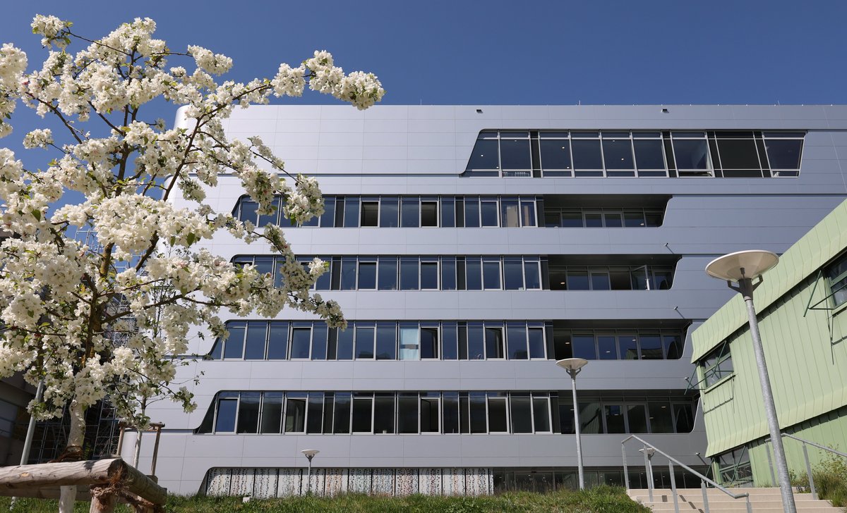 Building Centre for Visual Computing of Collectives (VCC) with a blooming tree in front