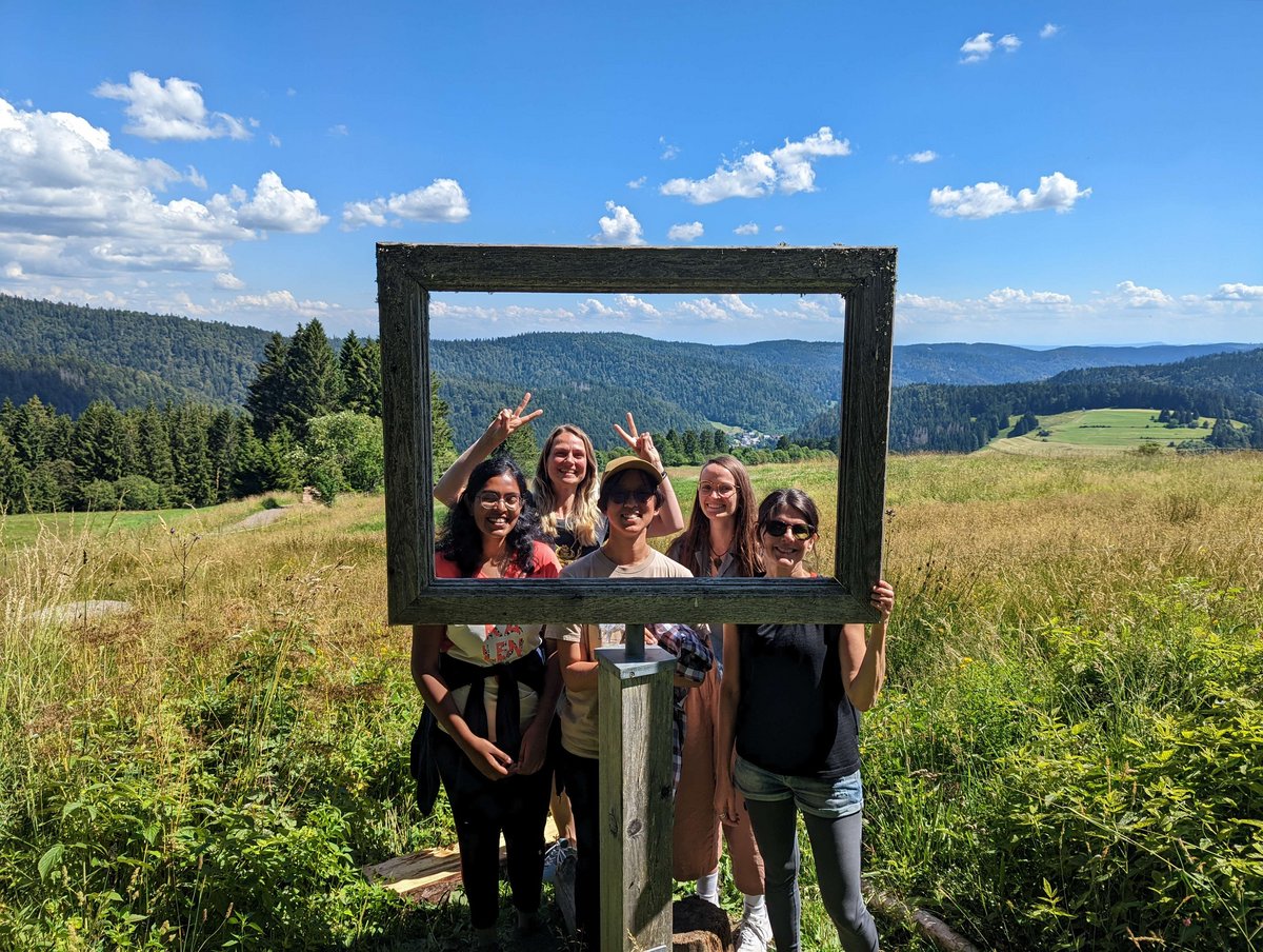 Five persons stand behind a wooden photo frame in the nature